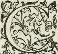 An illustration from Apparato della festività del glorioso S. Giouan Battista : fatto dal fedelissimo popolo napolitano à 23. di giugno 1624, all' Eccellenza del signor d. Antonio Alvarez di Toledo, duca d'Alba, vicere nel regno (1624)