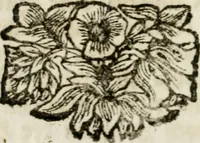 An illustration from Apparatus sacri honoris primo carmelitarum discalceatorum parenti seraphicæ virginis ac matris Theresiæ à Jesu filio primogenito S. Joanni à Cruce : post ejus solemnem in Vaticani colle apotheosin adornatus, a devotissimo filiorum suorum Collegio Augustano (1727)