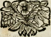 An illustration from Apparatus sacri honoris primo carmelitarum discalceatorum parenti seraphicæ virginis ac matris Theresiæ à Jesu filio primogenito S. Joanni à Cruce : post ejus solemnem in Vaticani colle apotheosin adornatus, a devotissimo filiorum suorum Collegio Augustano (1727)