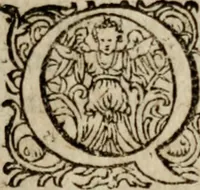 Picture 4 of 9 from Appendix apologetica ... pertinens ad secundam ejus operum Lugduni editorum partem (1605), leaf 12