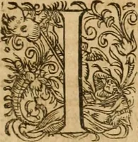 Picture 6 of 20 from Appendix necessaria Syntagmatis arcanorum chymicorum Andreae Libavii ... : in qva praeter arcanorvm nonnvllorum expositionem & illustrationem, quorundam item medicorum hermeticorum & mysticorum descriptionem, continentur defensiones geminae, primum eorum quae ab Henningo Schevnemano & iuniore Gramano sunt impugnata, postea quae in transmutatoria metallorum à Nicolao Gviberto ... sunt attentata ... (1615), leaf 16