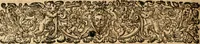 Picture 19 of 20 from Appendix necessaria Syntagmatis arcanorum chymicorum Andreae Libavii ... : in qva praeter arcanorvm nonnvllorum expositionem & illustrationem, quorundam item medicorum hermeticorum & mysticorum descriptionem, continentur defensiones geminae, primum eorum quae ab Henningo Schevnemano & iuniore Gramano sunt impugnata, postea quae in transmutatoria metallorum à Nicolao Gviberto ... sunt attentata ... (1615), leaf 265