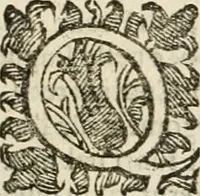 An illustration from Applausi di Firenze per la canonizzazione di s. Filippo Benizi, propagatore dell' Ordine de' Serui di Maria Vergine (1672)