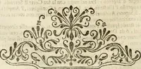An illustration from Applausi di Firenze per la canonizzazione di s. Filippo Benizi, propagatore dell' Ordine de' Serui di Maria Vergine (1672)