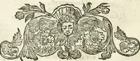 An illustration from Applausi di Firenze per la canonizzazione di s. Filippo Benizi, propagatore dell' Ordine de' Serui di Maria Vergine (1672)