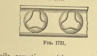 An illustration from Appletons' cyclopædia of technical drawing : embracing the principles of construction as applied to practical design ... (1896)
