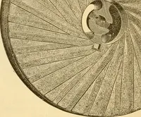 An illustration from Appletons' cyclopaedia of applied mechanics: a dictionary of mechanical engineering and the mechanical arts (1880)