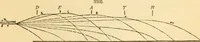 An illustration from Appletons' cyclopaedia of applied mechanics: a dictionary of mechanical engineering and the mechanical arts (1880)