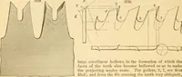 An illustration from Appletons' cyclopaedia of applied mechanics: a dictionary of mechanical engineering and the mechanical arts (1880)