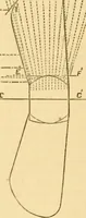 An illustration from Appletons' cyclopaedia of applied mechanics: a dictionary of mechanical engineering and the mechanical arts (1880)