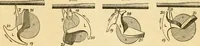 An illustration from Appletons' cyclopaedia of applied mechanics: a dictionary of mechanical engineering and the mechanical arts (1880)