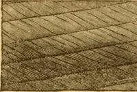 An illustration from Appletons' cyclopaedia of applied mechanics: a dictionary of mechanical engineering and the mechanical arts (1880)
