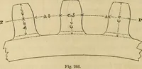 An illustration from Appleton's cyclopædia of drawing, designed as a textbook for the mechanic, architect, engineer, and surveyor (1866)