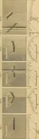 An illustration from Appleton's cyclopædia of drawing, designed as a textbook for the mechanic, architect, engineer, and surveyor (1866)