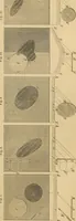 An illustration from Appleton's cyclopædia of drawing, designed as a textbook for the mechanic, architect, engineer, and surveyor (1866)