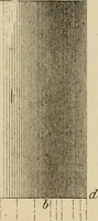 An illustration from Appleton's cyclopædia of drawing, designed as a textbook for the mechanic, architect, engineer, and surveyor (1866)
