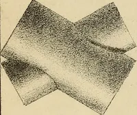An illustration from Appleton's cyclopædia of drawing, designed as a textbook for the mechanic, architect, engineer, and surveyor (1866)