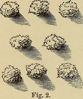 Picture 376 of 436 from Appleton's cyclopædia of drawing, designed as a textbook for the mechanic, architect, engineer, and surveyor (1866), leaf 549