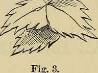 Picture 377 of 436 from Appleton's cyclopædia of drawing, designed as a textbook for the mechanic, architect, engineer, and surveyor (1866), leaf 549