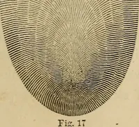 An illustration from Appleton's cyclopædia of drawing, designed as a textbook for the mechanic, architect, engineer, and surveyor (1866)