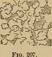Picture 167 of 1376 from Appletons' cyclopædia of technical drawing (1896), leaf 112