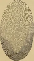 Picture 173 of 1376 from Appletons' cyclopædia of technical drawing (1896), leaf 115