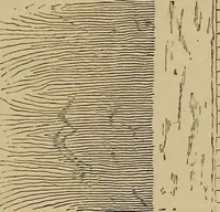 Picture 267 of 1376 from Appletons' cyclopædia of technical drawing (1896), leaf 184
