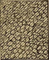Picture 272 of 1376 from Appletons' cyclopædia of technical drawing (1896), leaf 188
