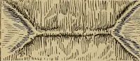 Picture 286 of 1376 from Appletons' cyclopædia of technical drawing (1896), leaf 195