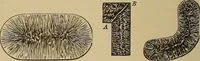 Picture 287 of 1376 from Appletons' cyclopædia of technical drawing (1896), leaf 195