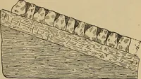 An illustration from Appletons' cyclopædia of technical drawing (1896)
