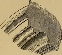 An illustration from Appletons' cyclopædia of technical drawing (1896)