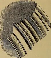An illustration from Appletons' cyclopædia of technical drawing (1896)