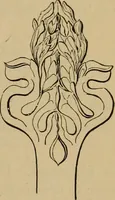 An illustration from Appletons' cyclopædia of technical drawing (1896)