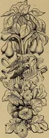 An illustration from Appletons' cyclopædia of technical drawing (1896)