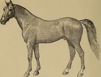 An illustration from Appletons' cyclopædia of technical drawing (1896)