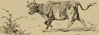 An illustration from Appletons' cyclopædia of technical drawing (1896)