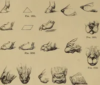 An illustration from Appletons' cyclopædia of technical drawing (1896)