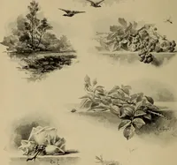 An illustration from Appletons' cyclopædia of technical drawing (1896)