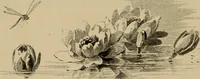 An illustration from Appletons' cyclopædia of technical drawing (1896)