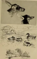 An illustration from Appletons' cyclopædia of technical drawing (1896)