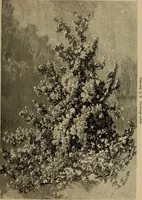 An illustration from Appletons' cyclopædia of technical drawing (1896)