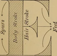 Picture 131 of 1376 from Appletons' cyclopædia of technical drawing (1896), leaf 80