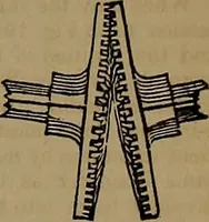 An illustration from Appleton's dictionary of machines, mechanics, engine-work, and engineering (1861)