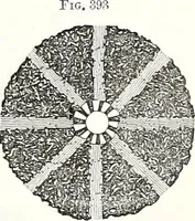 An illustration from Appleton's dictionary of machines, mechanics, engine-work, and engineering : illustrated with four thousand engravings on wood ; in two volumes (1873)