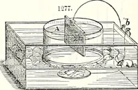 An illustration from Appleton's dictionary of machines, mechanics, engine-work, and engineering : illustrated with four thousand engravings on wood ; in two volumes (1873)