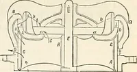 An illustration from Appleton's dictionary of machines, mechanics, engine-work, and engineering : illustrated with four thousand engravings on wood ; in two volumes (1873)