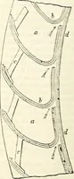 An illustration from Appleton's dictionary of machines, mechanics, engine-work, and engineering : illustrated with four thousand engravings on wood ; in two volumes (1873)