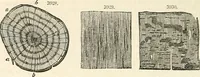 An illustration from Appleton's dictionary of machines, mechanics, engine-work, and engineering : illustrated with four thousand engravings on wood ; in two volumes (1873)