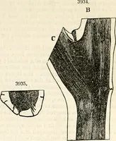 An illustration from Appleton's dictionary of machines, mechanics, engine-work, and engineering : illustrated with four thousand engravings on wood ; in two volumes (1873)